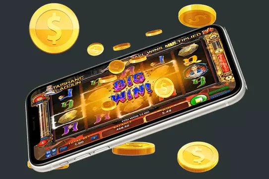 100cuci xyz